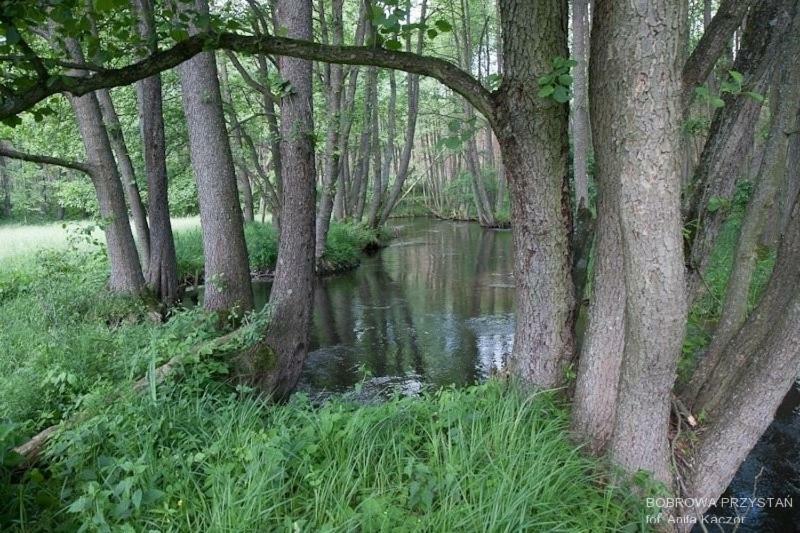 Bobrowa Przystan Βίλα Czechyn Εξωτερικό φωτογραφία