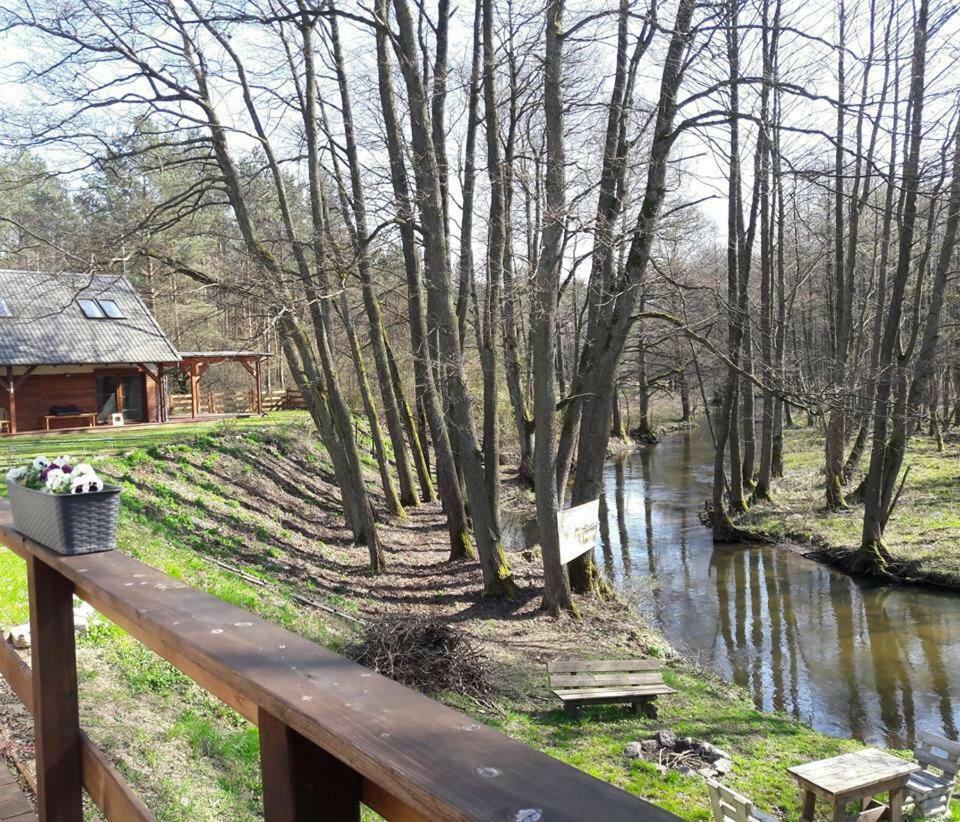 Bobrowa Przystan Βίλα Czechyn Εξωτερικό φωτογραφία